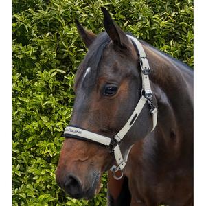 product/p/r/premier-equine_6151ctpe_taupe_6.jpg