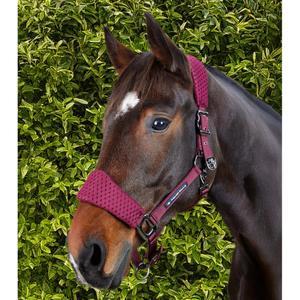 product/p/r/premier-equine_6152cbrg_burgundy_6.jpg