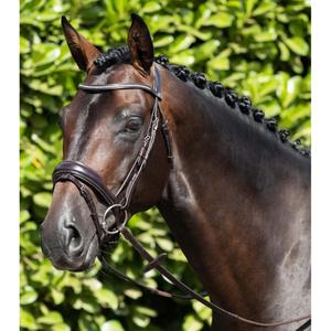 8013-c-8013-xf-bridon-anatomique-muserolle-combinee-premier-equine-stellazzio-dark-brown