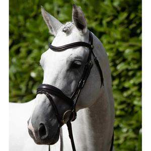 product/p/r/premier-equine_8018-cbrw_2.jpg