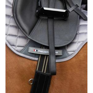 product/p/r/premier-equine_8024-46blk_3.jpg