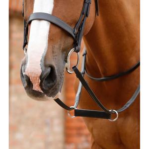 product/p/r/premier-equine_8031-fblk_1.jpg