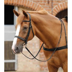 product/p/r/premier-equine_8041-blk_2.jpg