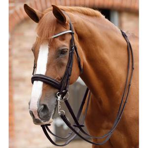 product/p/r/premier-equine_8047-brw_2.jpg