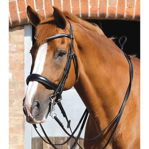 product/p/r/premier-equine_8110_1.jpg