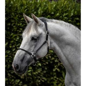 product/p/r/premier-equine_8120cblk_1.jpg