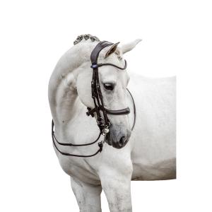 1210-017-995-bridon-double-equitation-ps-of-sweden-paragon-black-leather