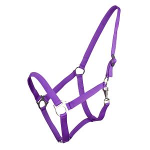1040-pf-licol-pour-cheval-avec-glissiere-q-essentials-passion-flower
