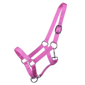 1114-rz-licol-pour-poulain-q-essentials-yearling-pink-yearling