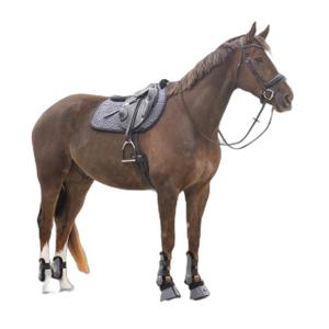 4117-gs-protege-boulets-pour-cheval-qhp-sensisoft-gris