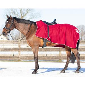 6106-bozi-couvre-reins-pour-cheval-polaire-qhp-ornament-bordeaux-argent