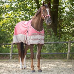 product/q/h/qhp_6368-flm_flamingo_2.jpg