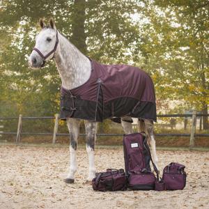 product/q/h/qhp_6380-wro_wine-red_3.jpg