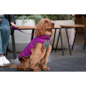 product/r/e/red-dingo_pj-pm-pu_rose-et-violet_5.jpg