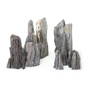product/r/e/reptiles-planet_rp120502m_gris_1.jpg