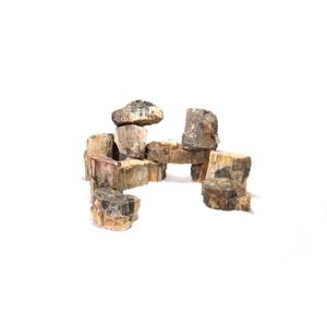 product/r/e/reptiles-planet_rp120508s_beige_1.jpg