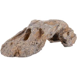 product/r/e/reptiles-planet_rp120900_beige_3.jpg