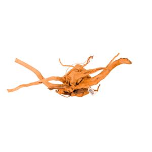 product/r/e/reptiles-planet_rp211802_beige_1.jpg