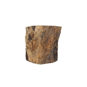 product/r/e/reptiles-planet_rp440050_beige_1.jpg