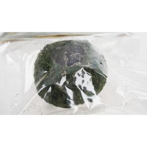 product/r/e/reptiles-planet_rp875932_vert_3.jpg