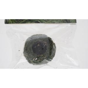 product/r/e/reptiles-planet_rp875932_vert_4.jpg