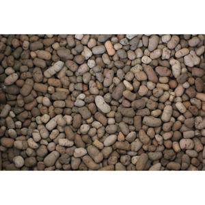 product/r/e/reptiles-planet_rp875936_marron_2.jpg