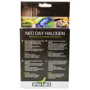 product/r/e/reptiles-planet_rp875952_blanc_4.jpg