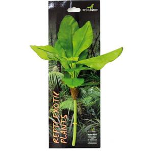 product/r/e/reptiles-planet_rp876024_vert_1.jpg