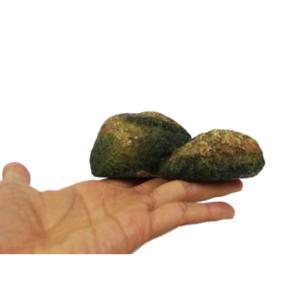 product/r/e/reptiles-planet_rp876174_vert_3.jpg