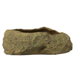 product/r/e/reptiles-planet_rp876231_vert_2.jpg