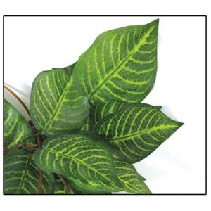 product/r/e/reptiles-planet_rp876260_vert_2.jpg