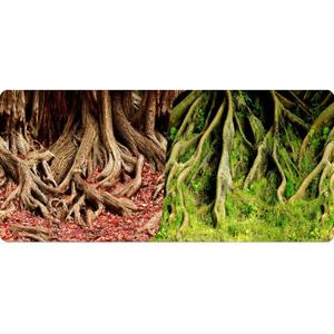 product/r/e/reptiles-planet_rp877830_rouge-vert_1.jpg
