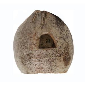 product/r/e/reptiles-planet_rp890555_marron_1.jpg