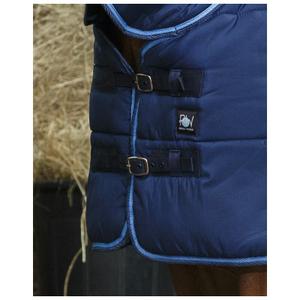product/r/i/riding-world_400506756_2.jpg