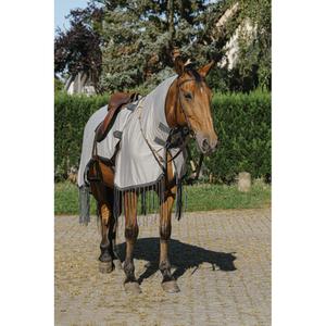 product/r/i/riding-world_400_703_063_ambi2.jpg