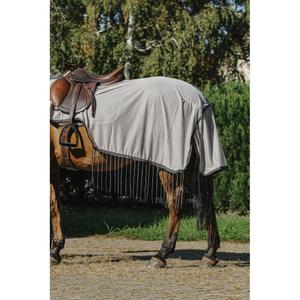 product/r/i/riding-world_400_703_063_det3.jpg