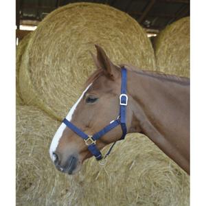 product/r/i/riding-world_510031007_1.jpg