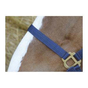 product/r/i/riding-world_510031007_2.jpg
