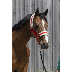 510242003-licol-pour-cheval-en-mouton-synthetique-riding-world-rouge