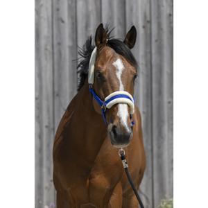 510242006-licol-pour-cheval-en-mouton-synthetique-riding-world-bleu-roi