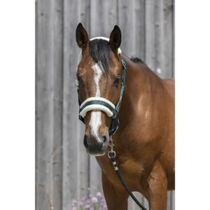 510242009-licol-pour-cheval-en-mouton-synthetique-riding-world-vert-fonce
