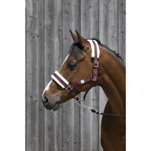 510242033-licol-pour-cheval-en-mouton-synthetique-riding-world-bordeaux