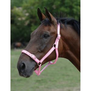 593313-ensemble-licol-et-longe-pour-cheval-roma-pink-silver