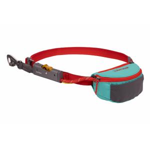 4041-421-laisse-pour-chien-ruffwear-hitch-hiker-aurora-teal-tu