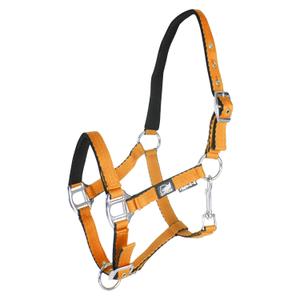 ca00010-orange-licol-pour-poulain-avec-double-reglage-supreme-orange