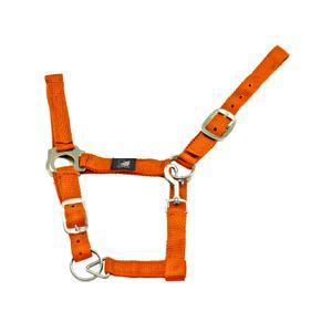 ca00011-orange-licol-pour-cheval-en-nylon-double-ajustement-supreme-ca00011-orange