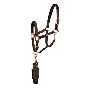 ca00034-brown-ensemble-licol-et-longe-pour-cheval-supreme-brown