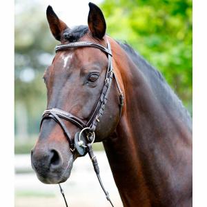 1410299-04-tetiere-frontal-licol-vernis-strass-tattini-marron