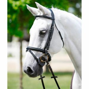 1426899-10-tetiere-frontal-licol-remboures-tattini-noir