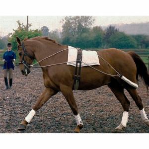 1540599-99999-enrenement-elastique-d-exercice-pour-cheval-tattini-beige-tu